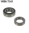 Rulman SKF