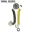 Rulman SKF