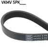 Rulman SKF