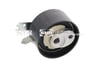 Triger Gergi Rulmanı Tensioner SNR