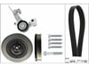 Volvo S60 D4 D5 Alternatör Gergi Rulmanı INA