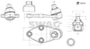 MG ZS Rotil SWAG