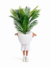 Bone Saksı 50 cm dokulu