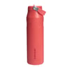 Kıbrıs Stanley Stanley 10-12111-080 The IceFlow™ Bottle Flip Straw 2.0 1.06L / 36oz