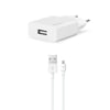 ŞARJ CİHAZI 2scs20MB Ttec Smartcharger Sarj Aleti 2.1A 10.5W Micro