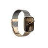 Apple Watch 10 46mm Amazingthing Omni StyleFlip Metal Hasır Kordon