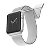 Apple Watch 40mm Raptic Mesh Band Serisi Metal Hasır Kordon