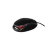 Auris ARS-MS02 800 DPI Led Işıklı Kablolu Mouse