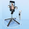 Azeada PD-P06 V2 Çift Ledli Uzaktan Kumandalı 104cm 4 Ayak Tripod Katlanır Selfie Çubuğu