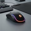 Everest SM-W75 X-Rapid Şarjlı Ergonomik Optik Kablosuz Mouse