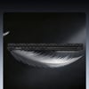 Galaxy Z Fold 8 Benks ArmorAir ArmorGrid Grand Combo Üçlü Aksesuar Seti (Ön Arka Kevlar Karbon Kapak + Ekran Koruyucu)