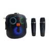Wster WS-930 USB / TF Card / Aux / Bluetooth Ses Ayarlanabilir Çift Mikrofonlu Karaoke Hoparlör
