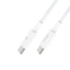 Recci RC77E GaN Teknolojili Hızlı Şarj Başlığı Type-C to Type-C PD 30W Kablolu Şarj Seti