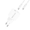 Recci RC77E GaN Teknolojili Hızlı Şarj Başlığı Type-C to Type-C PD 30W Kablolu Şarj Seti