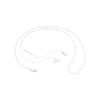 Samsung Type-C Earphones EO-IC100 Kulaklık
