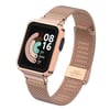 Xiaomi Redmi Watch (Mi Watch Lite) Zore KRD-59 Metal Kordon