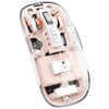 YK Design YK-M377 Bluetooth + Wireless 1600dpi Slim Şeffaf Sessiz Mouse