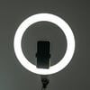 Zore MJ38 RGB 25W Ring Light Canlı Yayın 38cm USB'li ve Telefon Stand