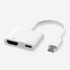 Zore Type-C to Type-C PD100W + HDMI 4K@30Hz 2in1 Adaptör