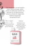 Güneş Krem Seti Aile 3 Lü Set ( Tone Up-dermo Pediatrik-aloe Vera)