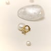 Tragus Piercing  Kelebek Küpe 14 Ayar Altın HD VİDEOLU