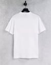 Havana Palm   T shirt Beyaz