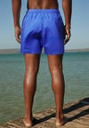 Jellyfish Regular Fit  Deniz Şortu-Mavi