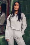 Oversize Special Kısa Crop  Sweat Gri Açık