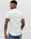 Raglan Kol Hakim Yaka S/s  Gömlek Beyaz-Sarı