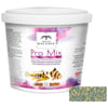 ​White Balance Pro Mix Granules 3 Kg 8690989902062 Amazon Pet Center