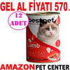 Best Pet Kuzu Etli Kedi Konservesi 400gr 12 AD Gel Al 18091007 Amazon Pet Center
