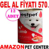 Best Pet Kuzu Etli Yavru Köpek Konservesi 400 Gr 12 AD Gel Al 18089004 Amazon Pet Center