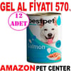 Best Pet Somonlu Köpek Konservesi 400 Gr 12 AD Gel Al 18090000 Amazon Pet Center