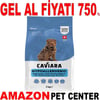 Caviara Hipoalerjenik Somonlu Orta & Büyük Irk Köpek Maması 2 Kg Gel Al 35012535 Amazon Pet Center