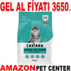 Caviara Kedi Maması Somonlu 12 Kg Gel Al 35012634 Amazon Pet Center