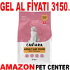 Caviara Kedi Maması Tavuklu 12 Kg Gel Al 35012610 Amazon Pet Center