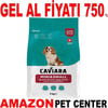 Caviara Kuzu Etli ve Pirinçli Mini & Küçük Irk Yaşlı Köpek Maması 2 Kg Gel Al 35012580 Amazon Pet Center
