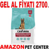 Caviara Kuzu Etli ve Pirinçli Orta & Büyük Irk Yetişkin Köpek Maması 12 Kg Gel Al 35012498 Amazon Pet Center