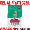 Caviara Kuzu Etli ve Pirinçli Orta & Büyük Irk Yaşlı Köpek Maması 12 Kg Gel Al 35012573 Amazon Pet Center