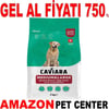 Caviara Kuzu Etli ve Pirinçli Orta & Büyük Irk Yaşlı Köpek Maması 2 Kg Gel Al 35012566 Amazon Pet Center