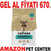 Caviara Somonlu Mini & Küçük Irk Yetişkin Köpek Maması 2 Kg Gel Al 35012511 Amazon Pet Center
