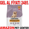 Caviara Tavuklu Orta & Büyük Irk Yavru Köpek Maması 12 Kg Gel Al 35012450 Amazon Pet Center