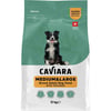 Caviara Tavuklu Orta & Büyük Irk Yetişkin Köpek Maması 12 Kg 7640297841103 Amazon Pet Center