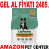 Caviara Tavuklu Orta & Büyük Irk Yetişkin Köpek Maması 12 Kg Gel Al 35012481 Amazon Pet Center