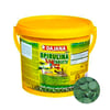 Dajana Tablet Balık Yemi Spirulina Tablets Kova 3000 ml 8594000254102 Amazon Pet Center