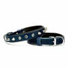Doggie Comfort Çivili Deri Köpek Boyun Tasması Mavi SBT -2512