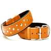 Doggie Comfort Rivetli Deri Boyun Tasması Kamel SBT-4011 4,0x65 cm  8680782100857 Doggie Köpek Boyun Tasmaları Amazon Pet Center