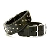Doggie Comfort Rivetli Deri Boyun Tasması Siyah SBT-4011 4,0x65 cm  8680782100819 Doggie Köpek Boyun Tasmaları Amazon Pet Center