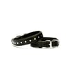 Doggie Comfort Yumuşak Dokulu Rivetli Köpek Boyun Tasması SBT-2511 Siyah