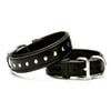 Doggie Comfort Yumuşak Dokulu Rivetli Köpek Boyun Tasması SBT-3511 Siyah 8680782100710 Doggie Köpek Boyun Tasmaları Amazon Pet Center
